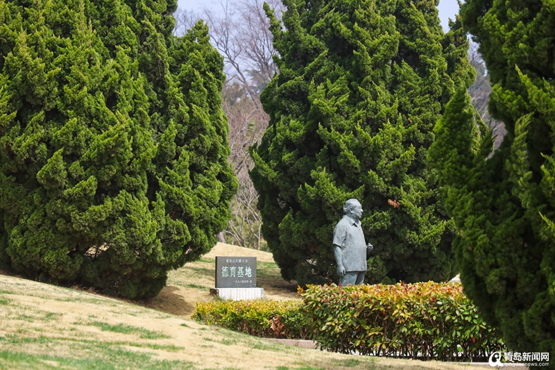 玉兰、桃花含苞待放…青岛百花苑开放 尽现春色盎然