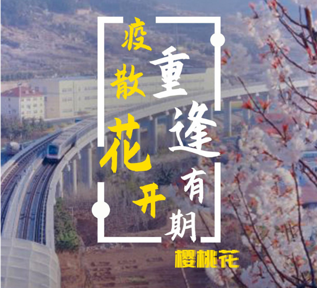 “疫”散花开，重逢有期，这份青岛地铁踏春指南请收好！