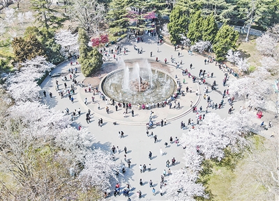 山头公园，正在青岛葳蕤生长