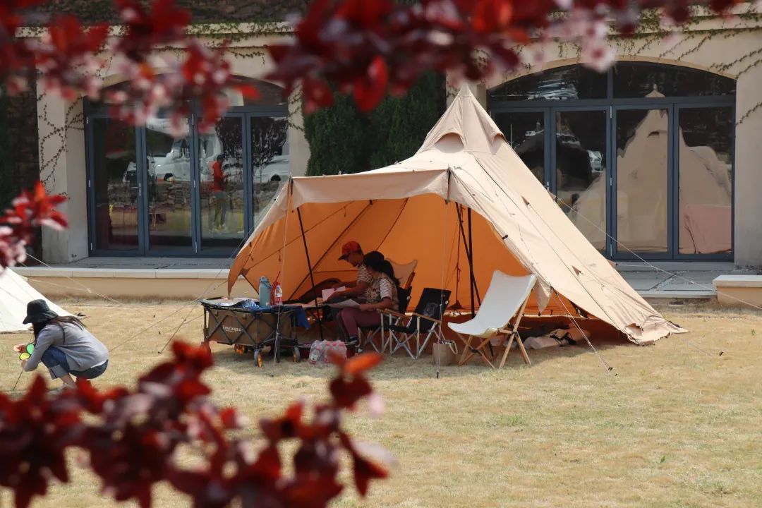 户外露营热度不断攀升 五一假期青岛部分营地一位难求
