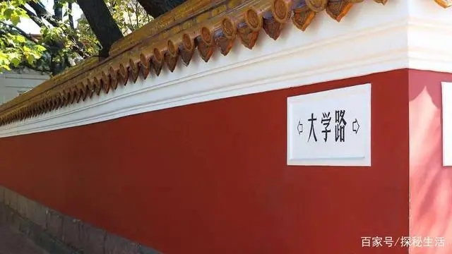 解锁青岛艺术场馆新玩法 观赏之余还可以艺术性遛娃