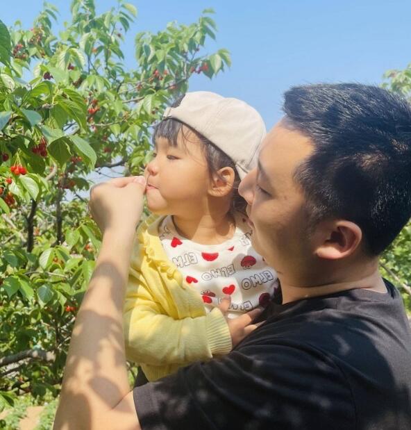 “吃货”的热情挡不住！樱桃节带火“乡村游”，北宅一带双休日迎客流高峰