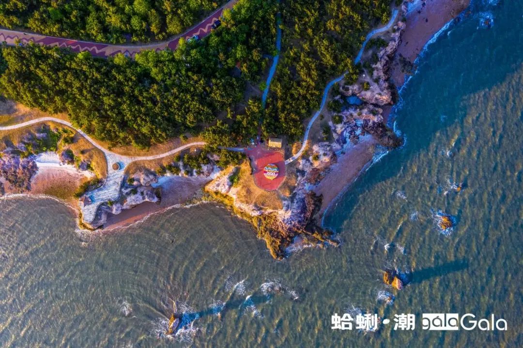红岛蛤蜊节完美收官,活力城阳增添新名片
