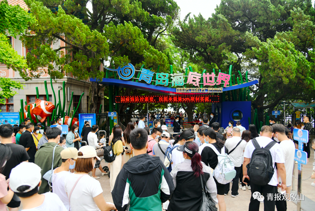 半个月，撬动17.9亿！免门票“乘数效应”显现，受益的不只是青岛旅游
