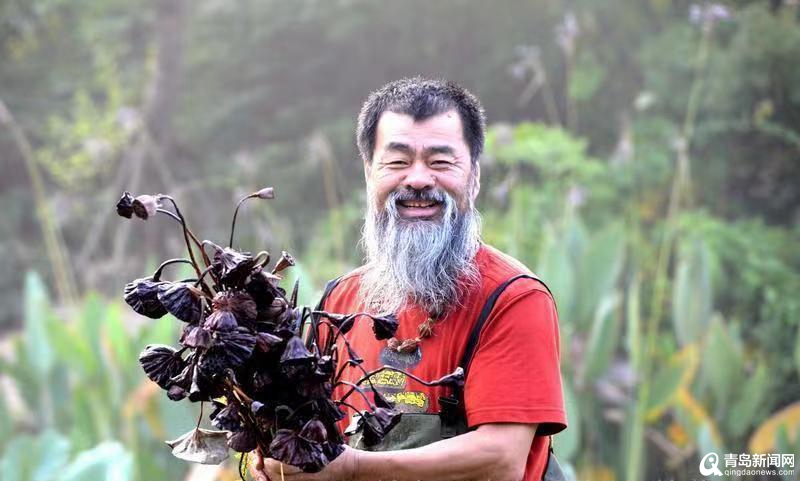 青岛大胡子老头20年与莲为伴 他拍的荷花大片仙气飘飘!