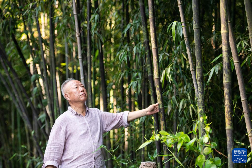 湖南岳州扇：匠心灵韵 制扇至美