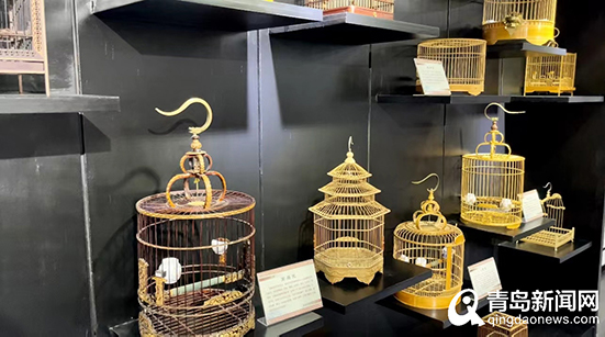 拥抱数字生活 就是握紧乡村振兴建设的“金钥匙”