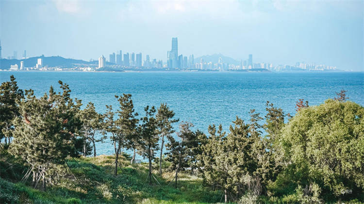 仿佛走进动漫场景！打开属于凤凰岛的夏天