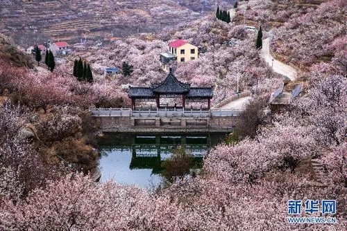 <b>山东省生态旅游区创建单位名单公布 青岛2家单位入选</b>