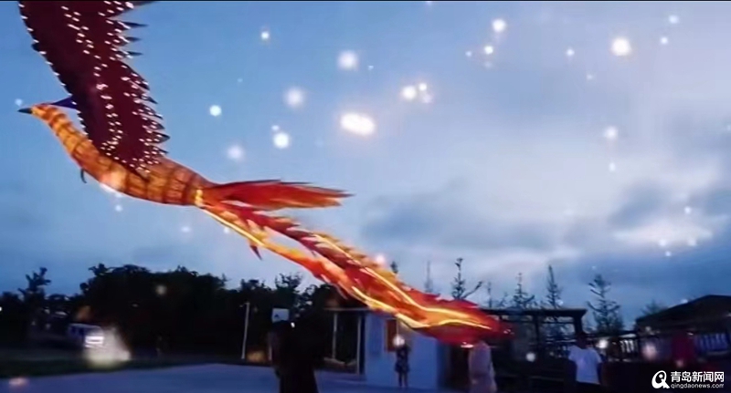 火了！青岛金沙滩上空飞凤凰？原来是啤酒节的常规表演