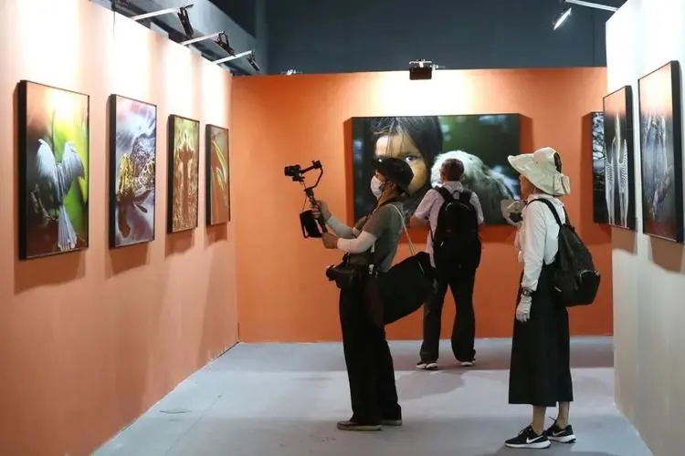 中国第十八届国际摄影艺术展览举行