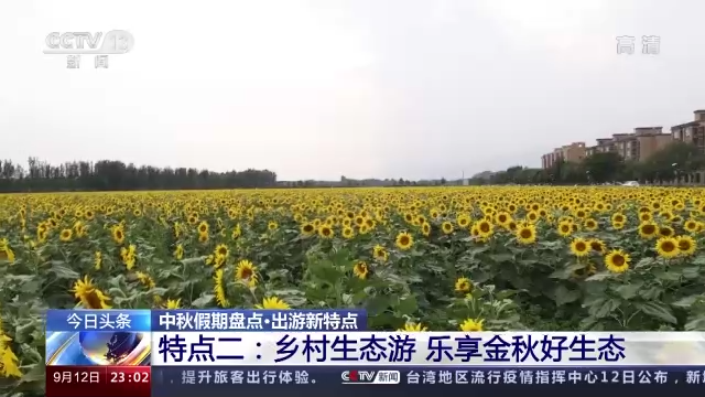 夜游、自驾游、生态游、露营游……本次中秋假期大盘点