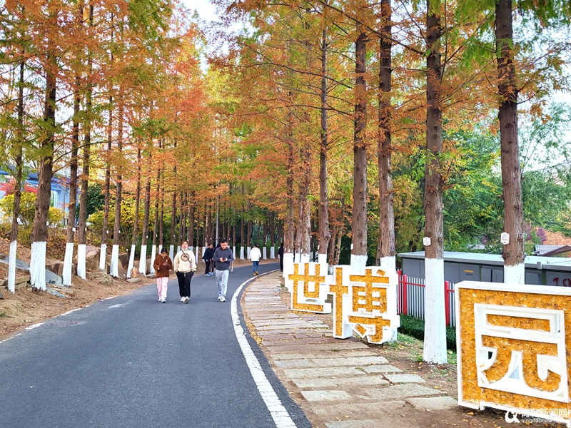 从被打零分到美上热搜、人气火爆！青岛世博园＂华丽＂转身