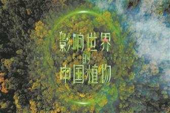 中国科学纪录片，如何走向未来