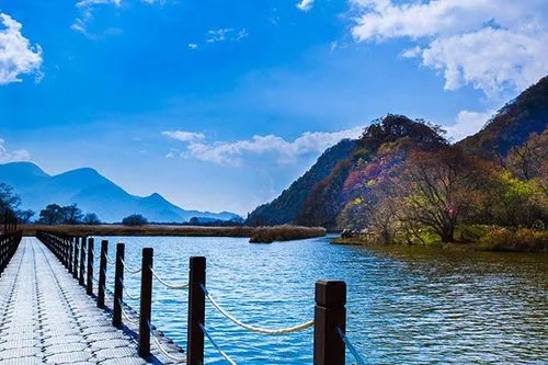 摆烂式旅游，流行背后也有风险