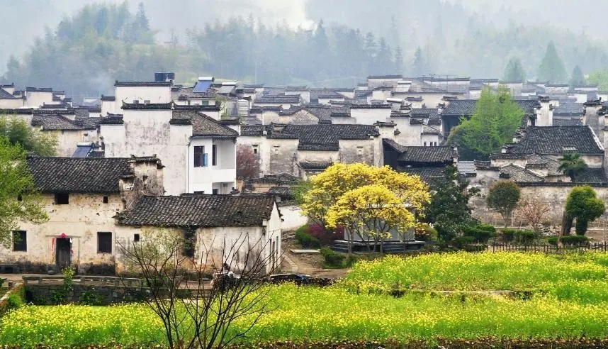 乡村生态好 旅游业态新