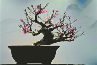 旅游为展览带来流量，展览为旅游提升文化附加值