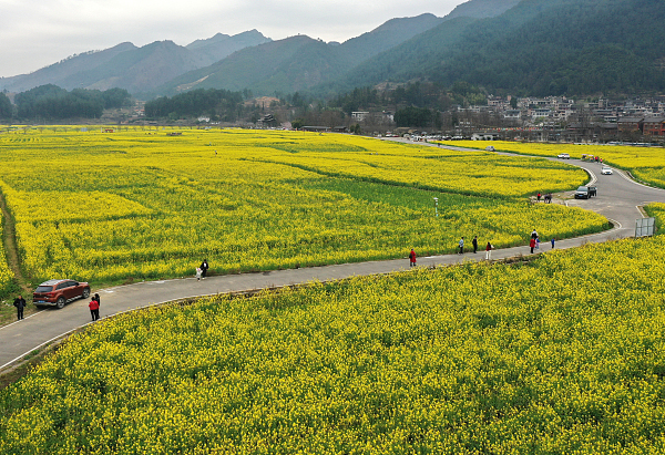 “赏花经济”催中国内地旅游市场加速“回春”