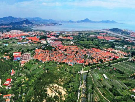 最高补贴1亿元 青岛硬核奖补文旅大项目落地