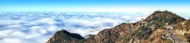 山东再发重磅文件 着力打造济南都市圈、青岛都市圈文化旅游发展极