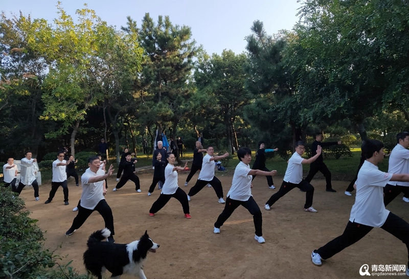 非遗在市南丨让国粹＂活＂起来！鸳鸯螳螂拳将登山东台《中国字 中国人》