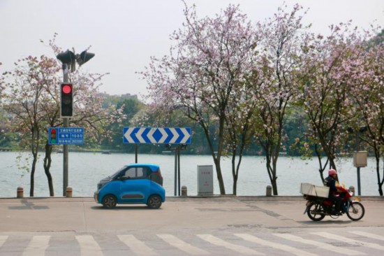 中国各地“赏花经济”玩出新“花”样