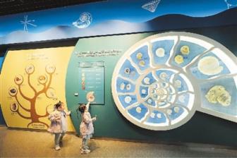 走进北京自然博物馆：领略自然魅力 品读生命史诗