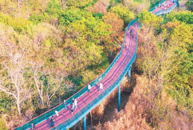 太平山中央公园、浮山森林公园正式对外开放首日：美了城市山头，乐在市民“