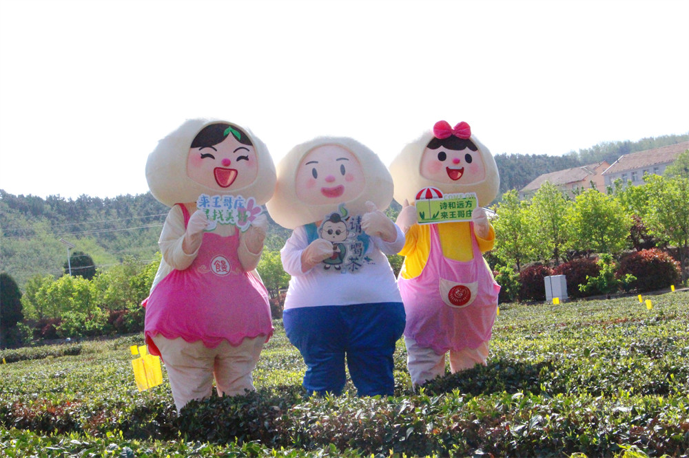 <b>茶田音乐节+露营+集市，这个周末的王哥庄“潮好玩”！</b>