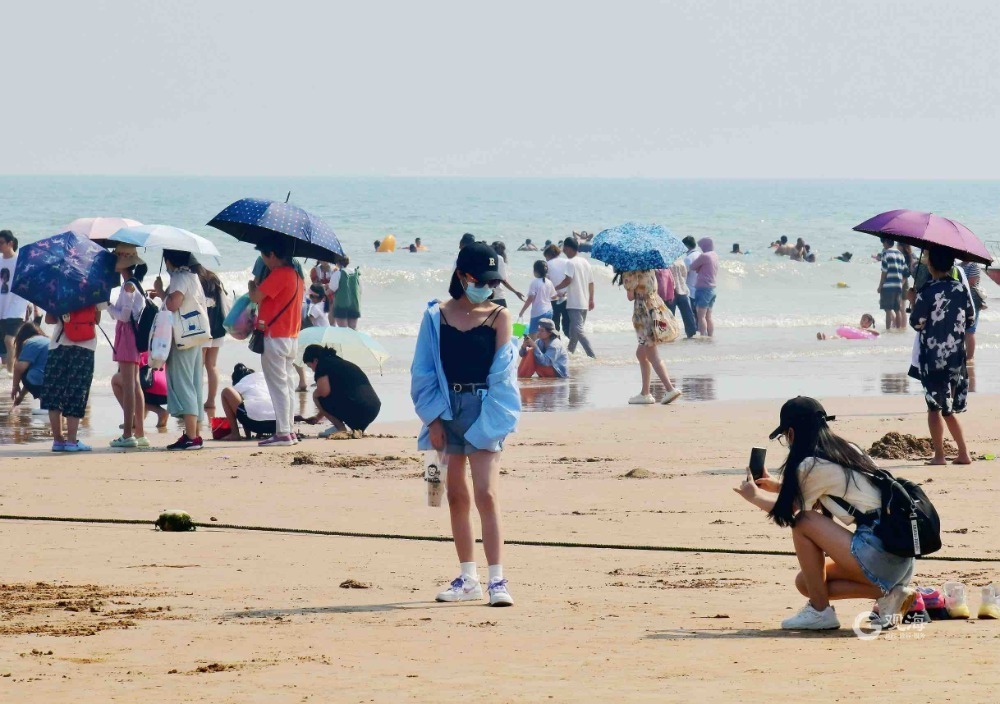 避暑纳凉首选，青岛旅游开启“人从众”模式