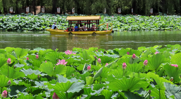 暑期旅游将过半，旅游市场释放出了哪些新信号？