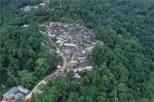 云南普洱景迈山古茶林申遗成功背后有哪些原因？专家解读