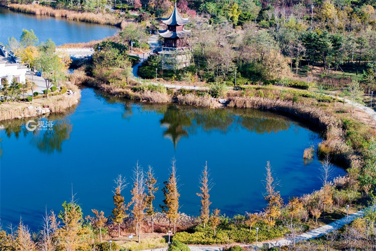 青岛唐岛湾湿地冬日大片来了