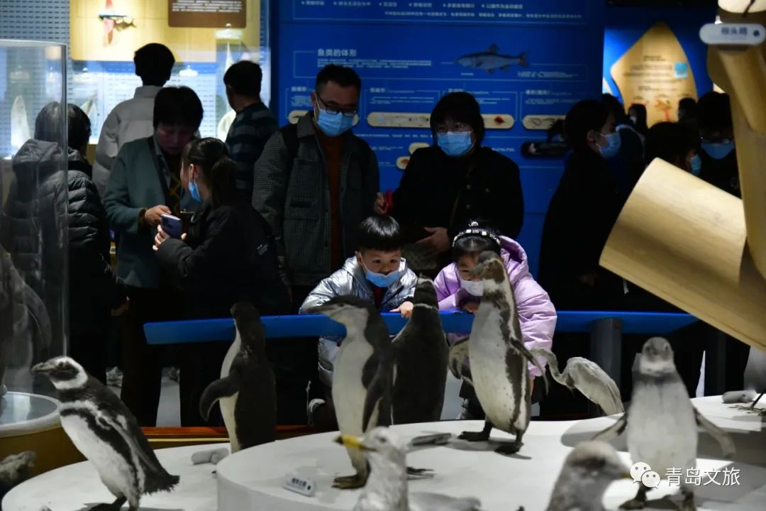 青岛海底世界官宣：即日起，这一群体免费入园