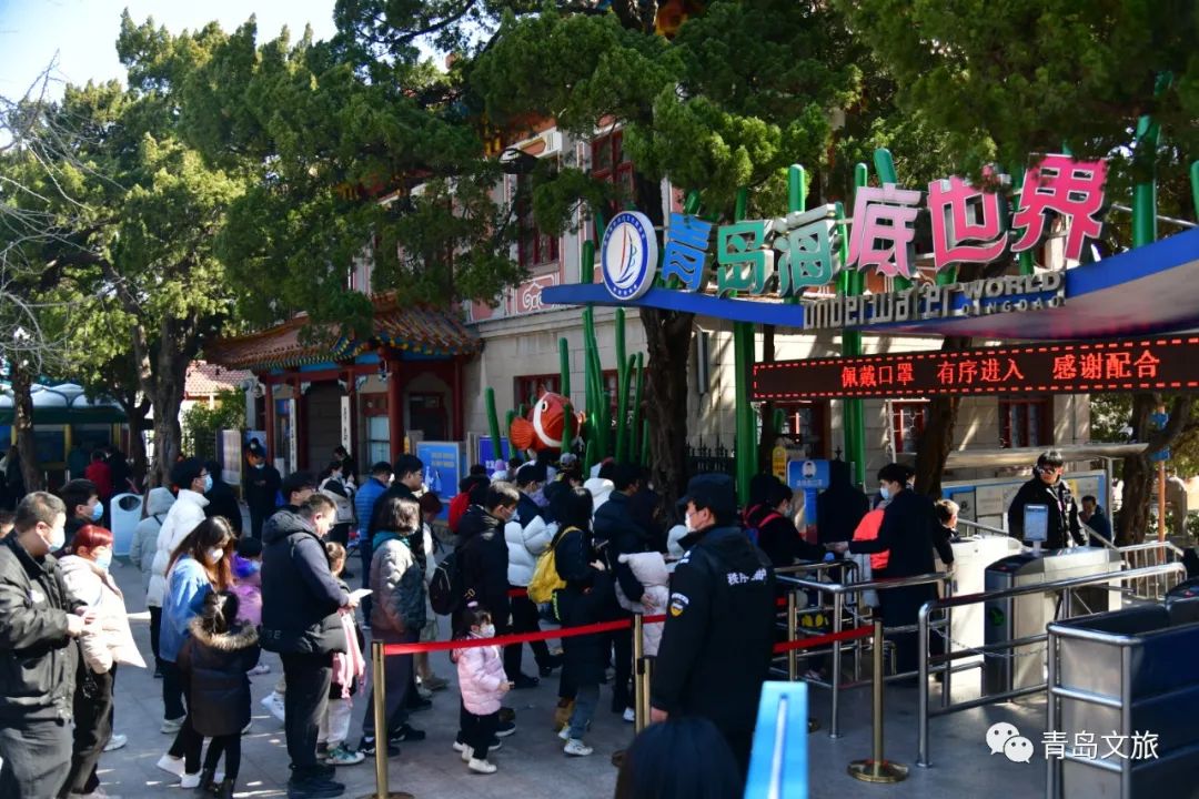 青岛海底世界官宣：即日起，这一群体免费入园