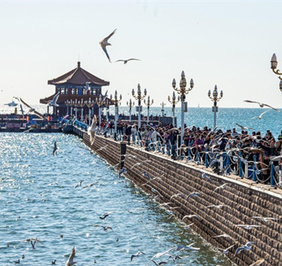 青岛：海鸥翔集，游人如织