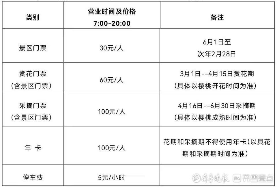 北宅大崂樱桃谷增加夜间旅游模式，赏花门票60元采摘100元