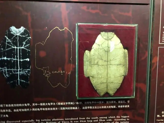 文旅融合“点亮”甲骨文之美