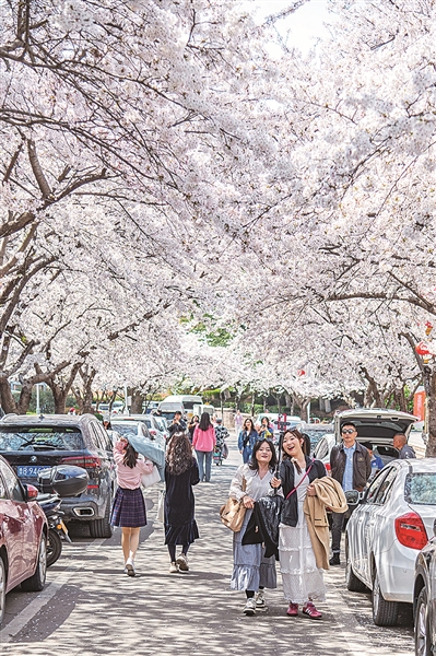 清明假期青岛景区火爆，市民解锁文旅新玩法