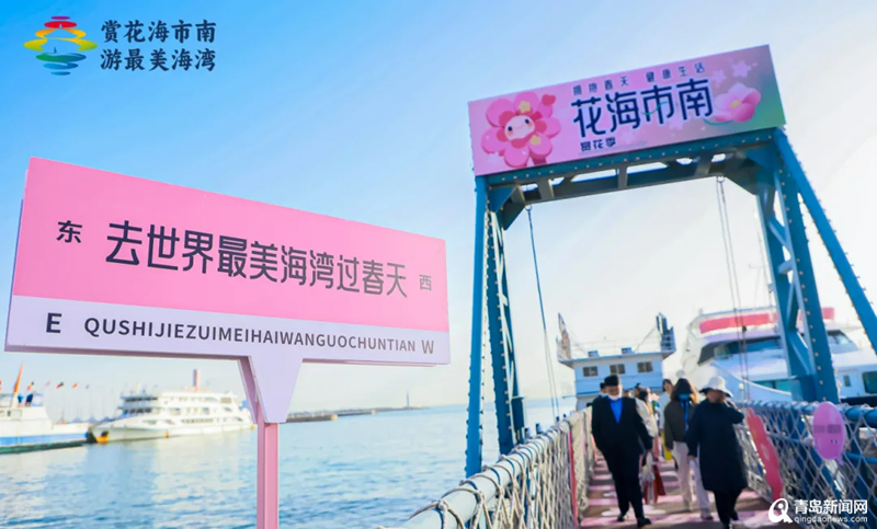 青岛创意首推海上“樱花巴士” 新5A景区彰显浪漫情怀