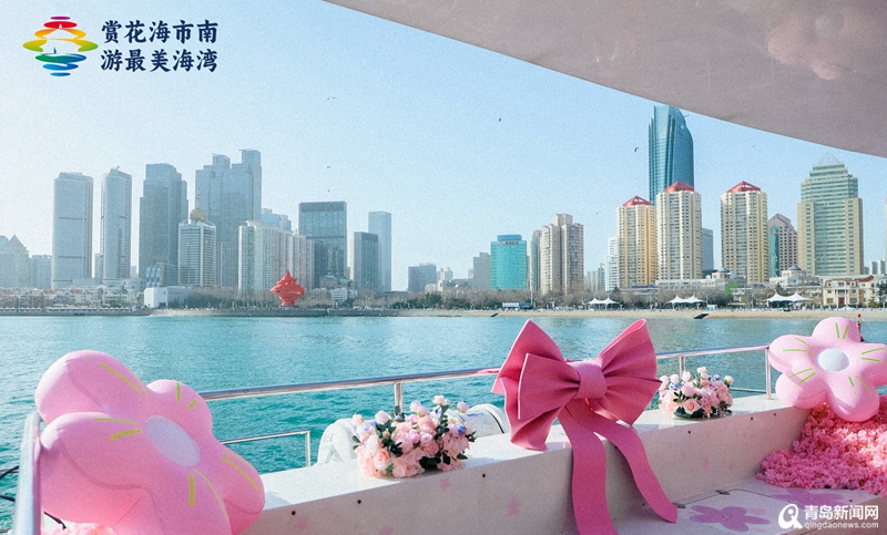青岛创意首推海上“樱花巴士” 新5A景区彰显浪漫情怀