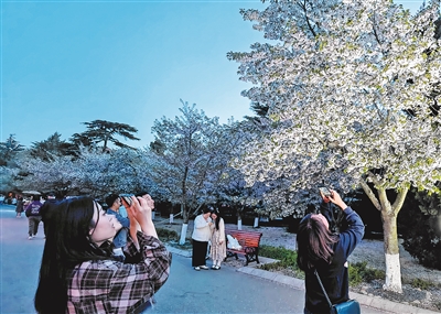 青岛夜生活体验持续升级 夜间经济激发消费新活力