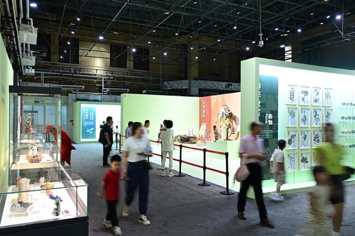 迎揭牌一周年 国家自然博物馆展出新增馆藏精品