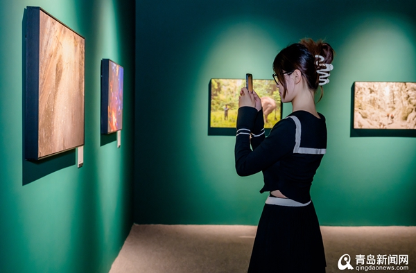视听盛宴！中国国家地理·探索极致发现科学艺术影像展在青举办