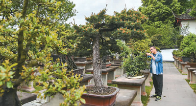 走进成都世园会 山水园林带动文旅消费