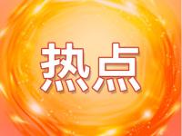 网剧“出海”何以“无时差”