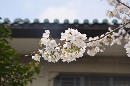 艺术改变现实