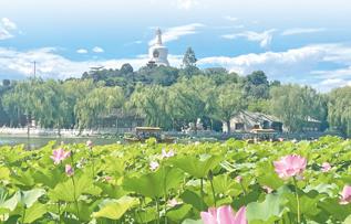 文旅需求旺 服务跟得上