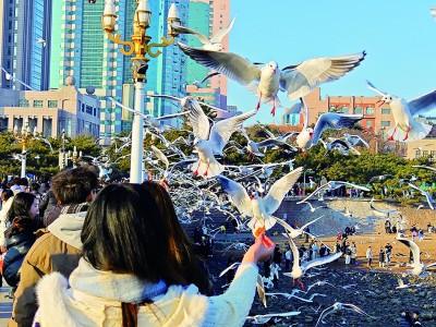山东青岛：百岁老街新姿魅人