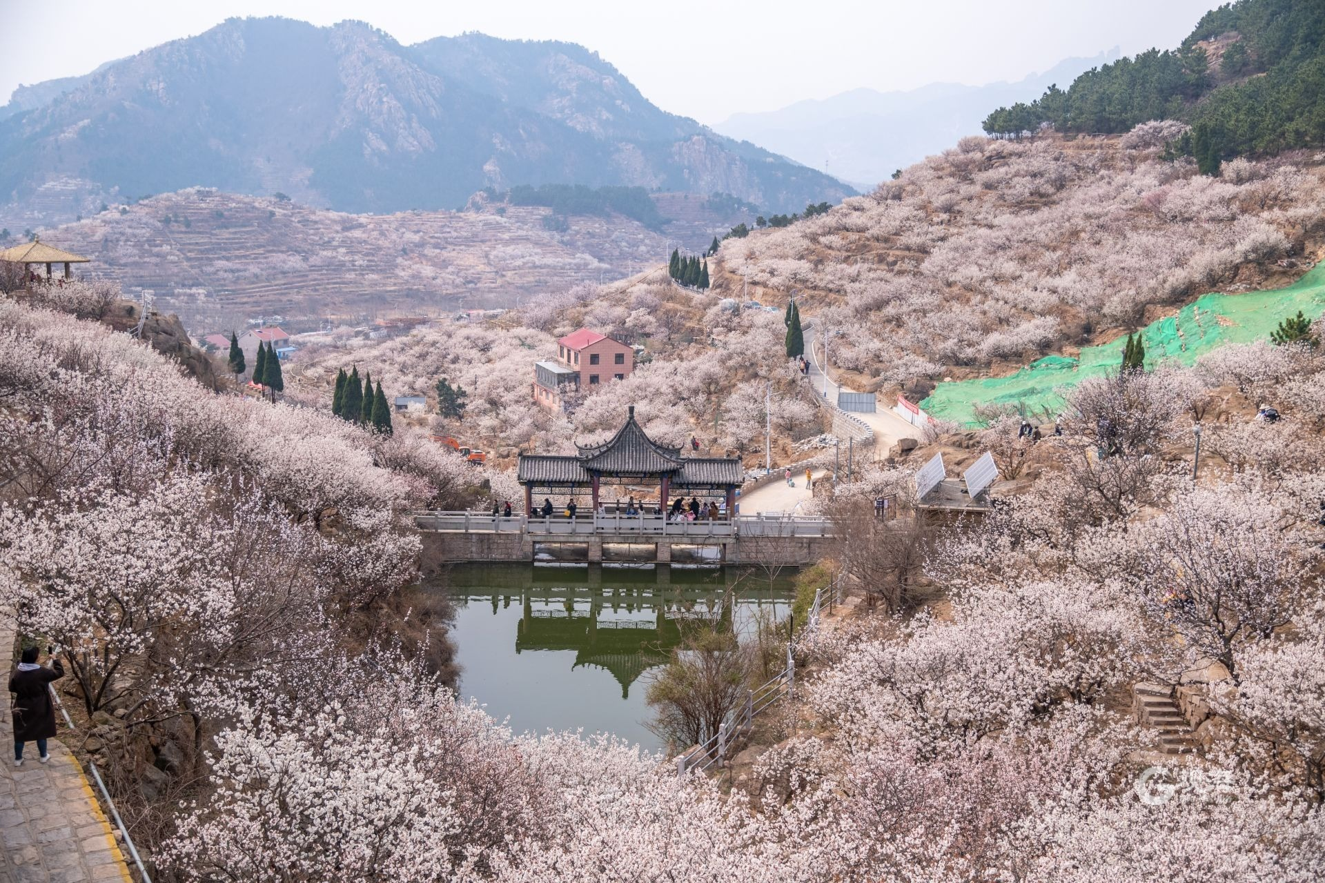“舌尖上”的节会：青岛烟火气“有滋有味”